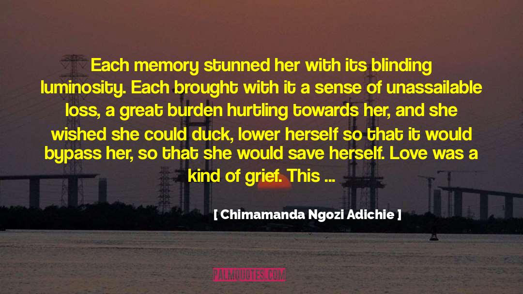 Damaged Love quotes by Chimamanda Ngozi Adichie