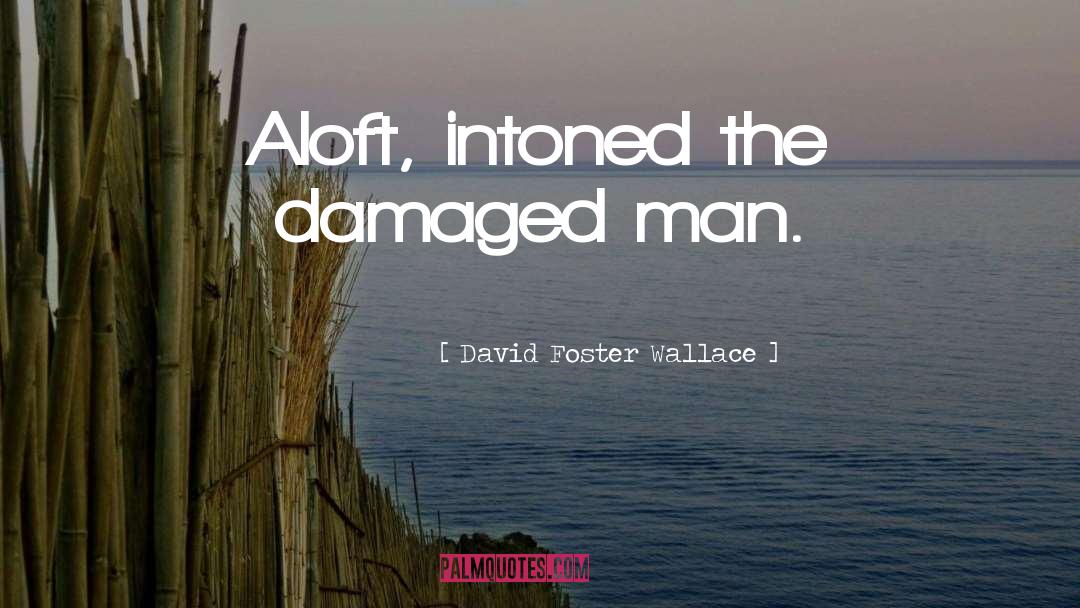 Damaged quotes by David Foster Wallace