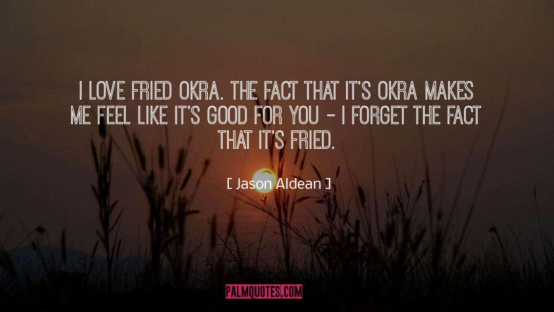 Dame Okra quotes by Jason Aldean