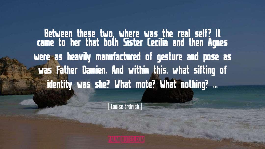 Damien quotes by Louise Erdrich