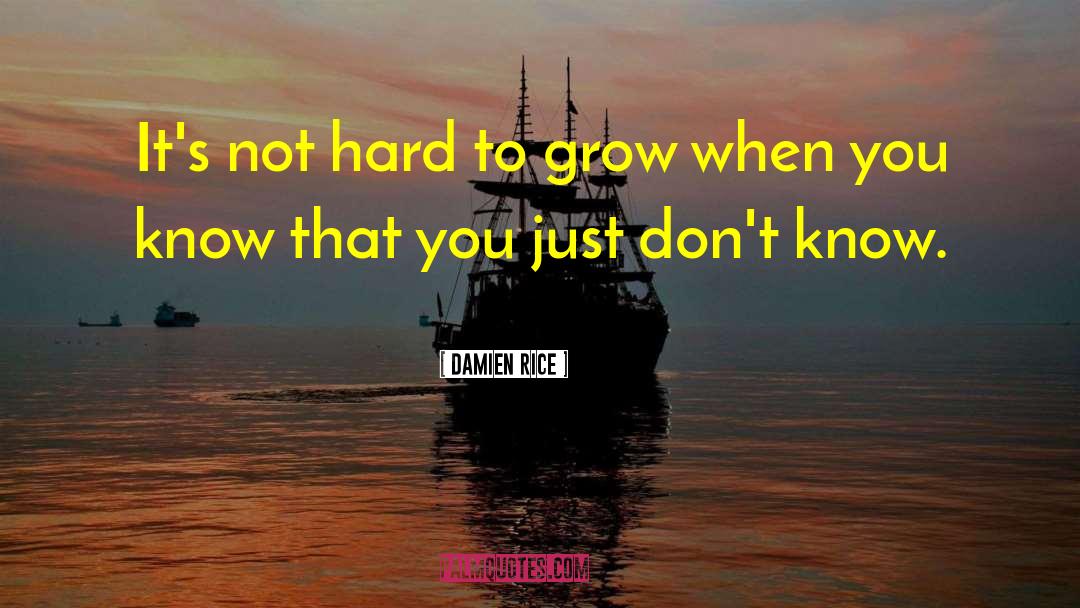 Damien quotes by Damien Rice