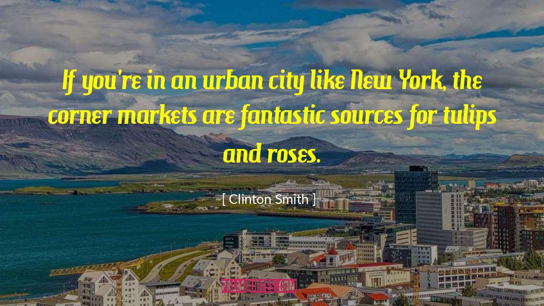 Damir Urban quotes by Clinton Smith