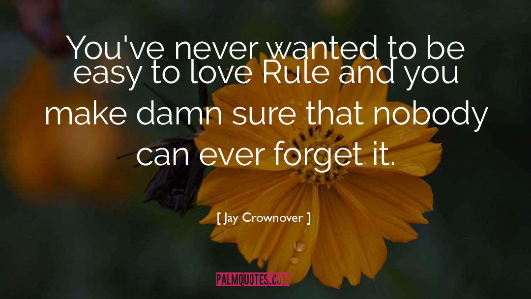 Damn quotes by Jay Crownover