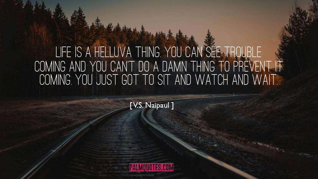 Damn Things quotes by V.S. Naipaul