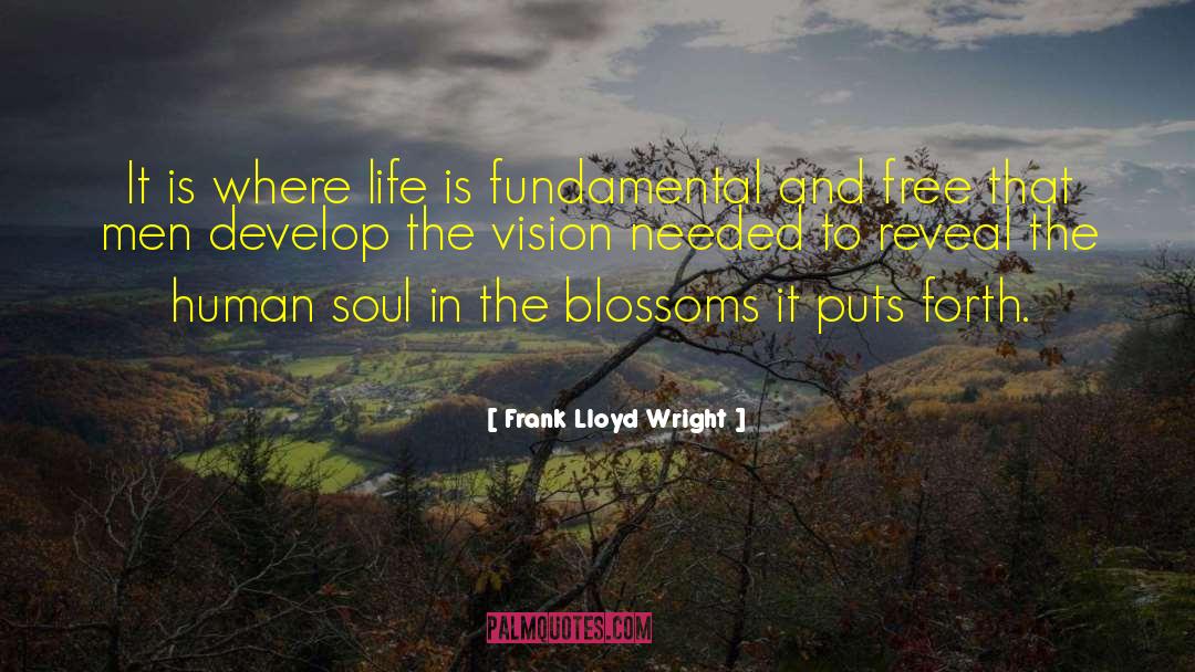Damned Soul quotes by Frank Lloyd Wright
