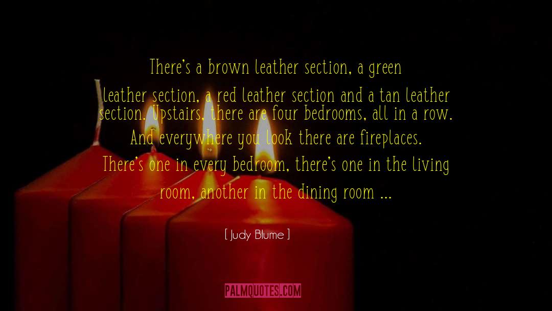 Dampers For Fireplaces quotes by Judy Blume