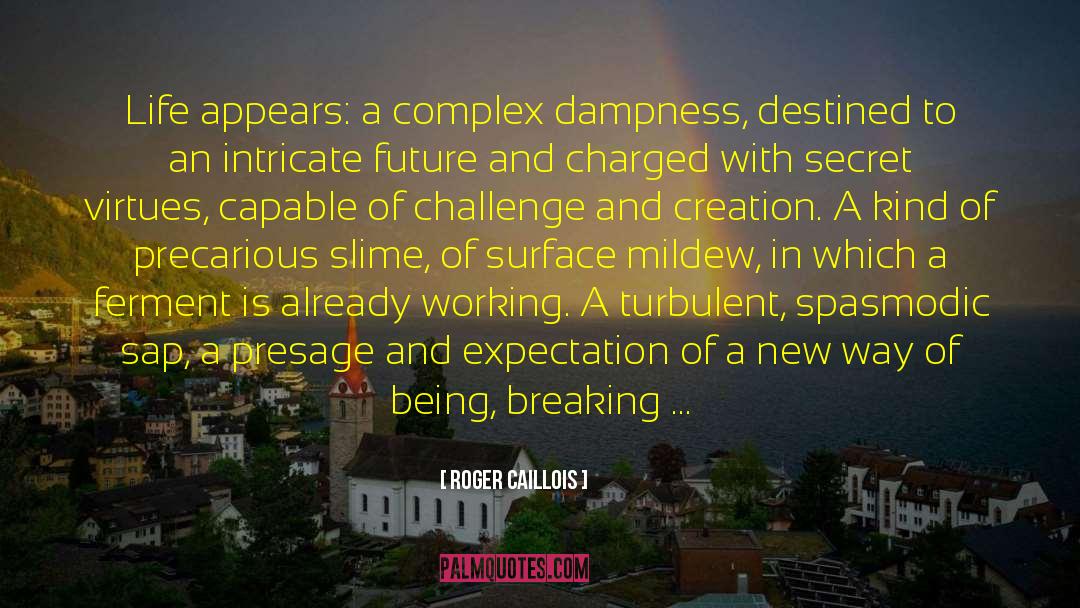 Dampness quotes by Roger Caillois