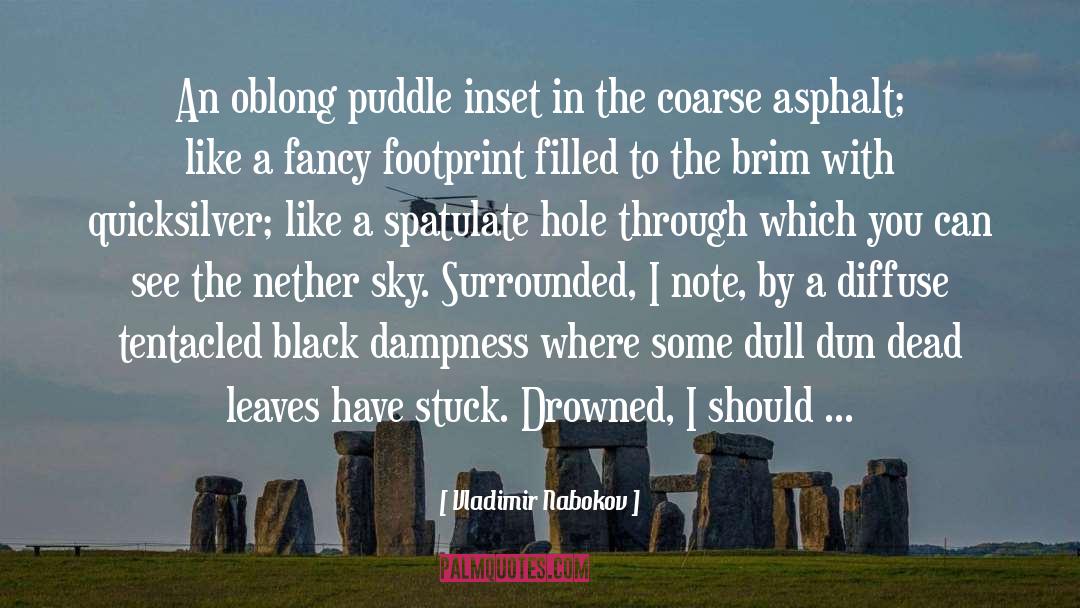 Dampness quotes by Vladimir Nabokov