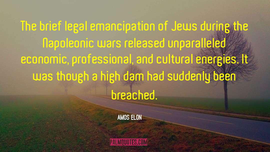 Dams quotes by Amos Elon