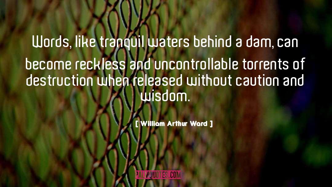Dams quotes by William Arthur Ward