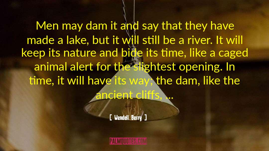 Dams quotes by Wendell Berry