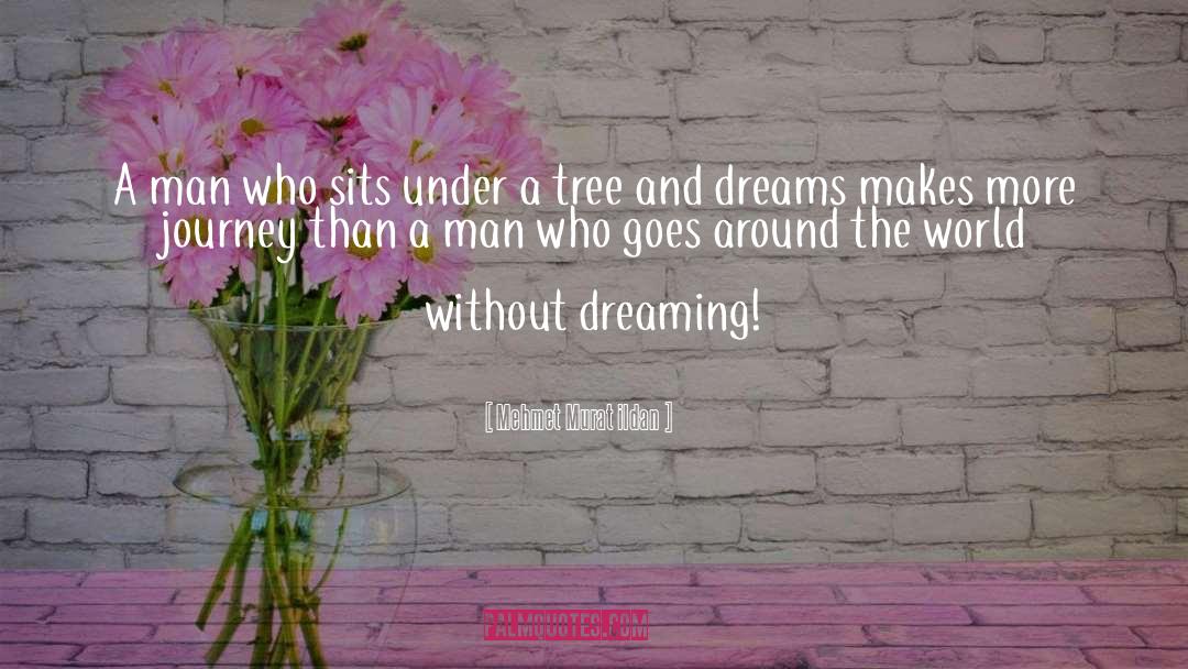 Dance And Dream quotes by Mehmet Murat Ildan