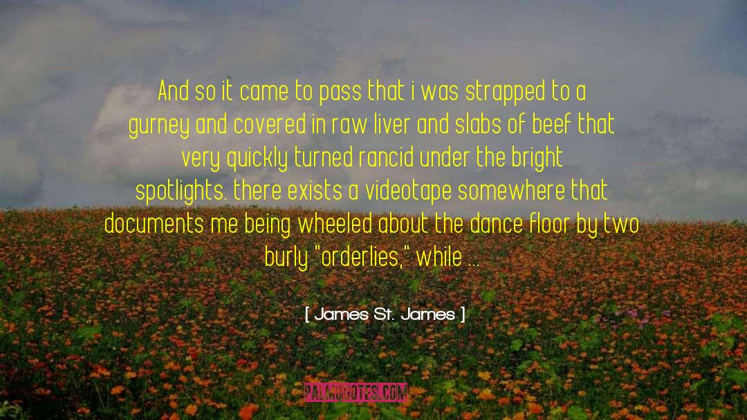 Dance For Me 1 quotes by James St. James