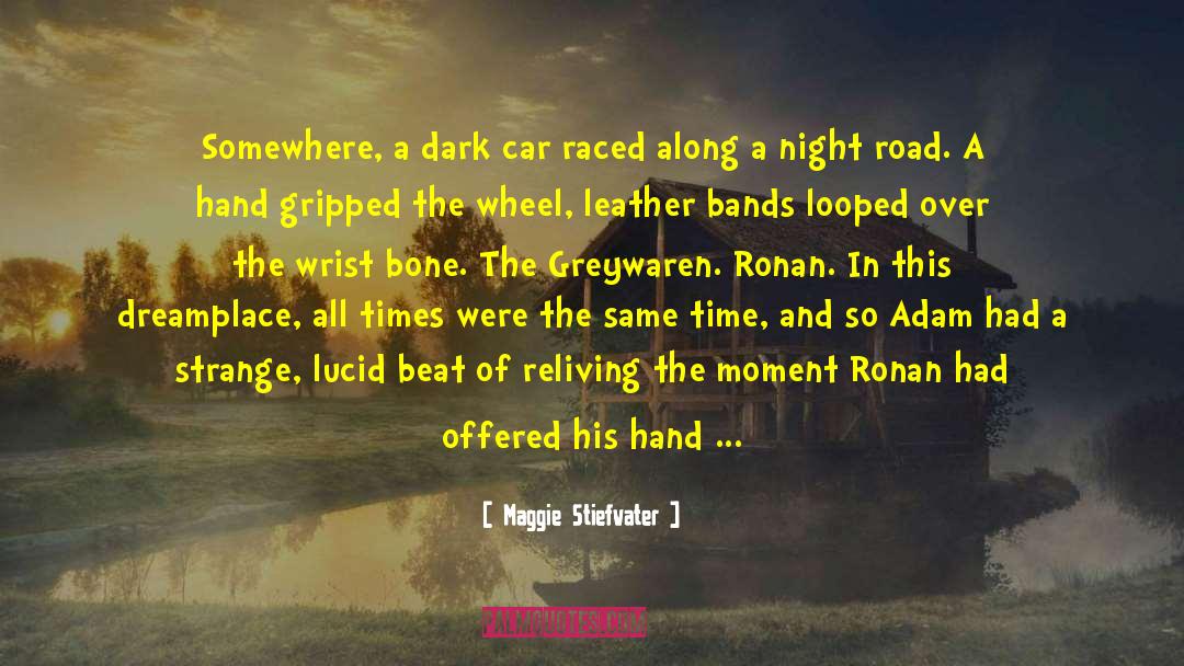 Dance In The Dark quotes by Maggie Stiefvater