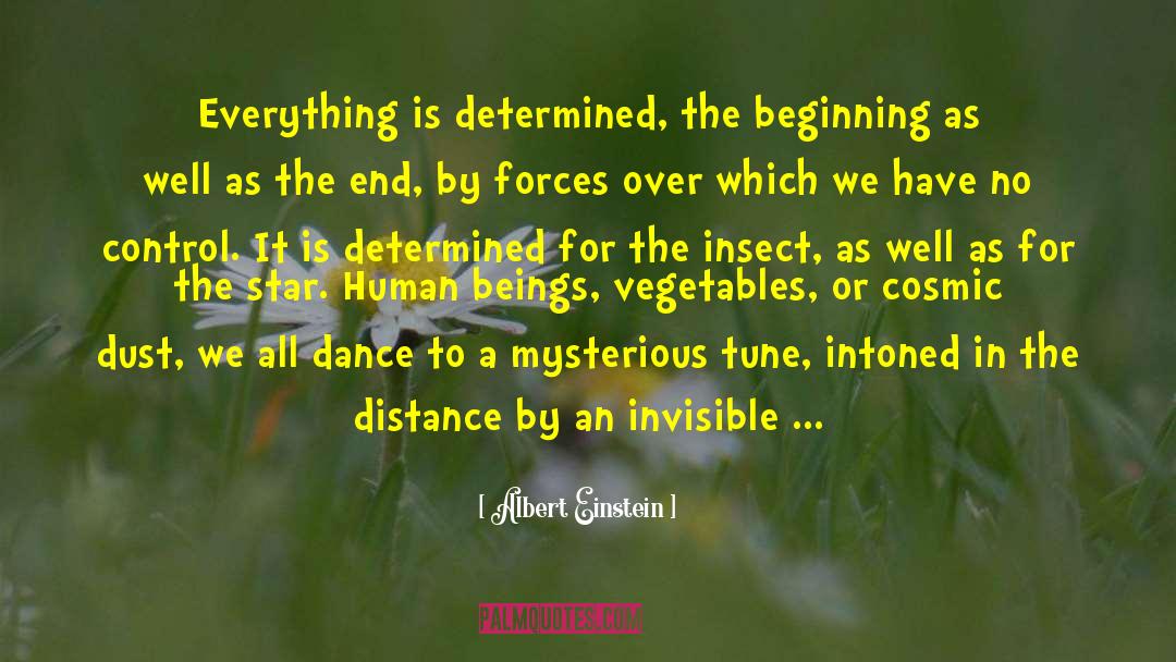 Dance Life quotes by Albert Einstein
