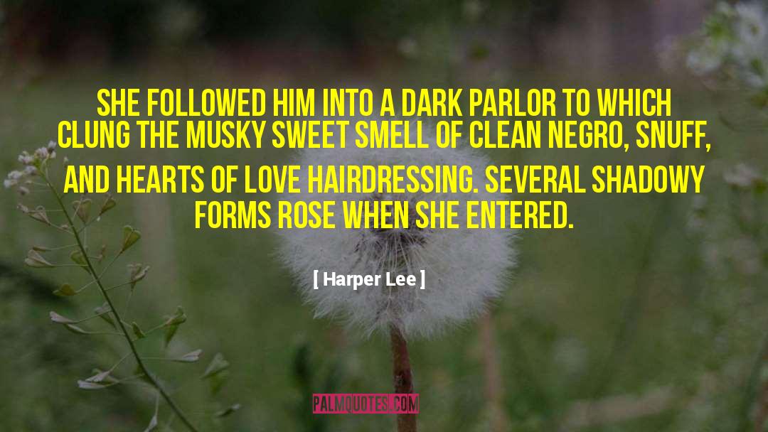 Dance Love quotes by Harper Lee