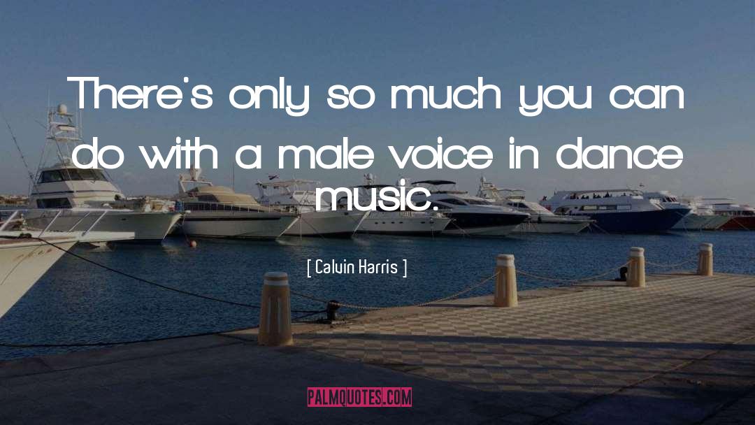 Dance Music quotes by Calvin Harris