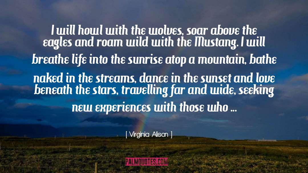 Dance Sunset quotes by Virginia Alison