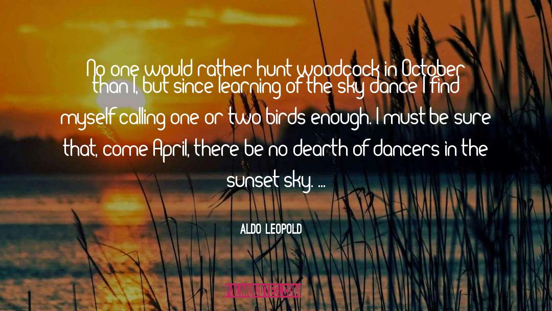Dance Sunset quotes by Aldo Leopold