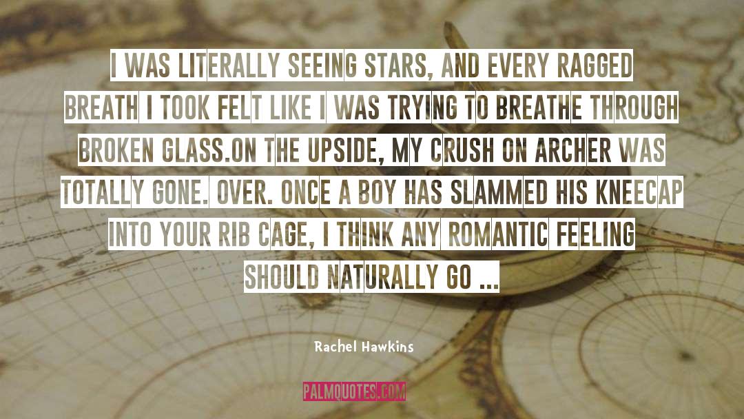 Dances Through Glass quotes by Rachel Hawkins