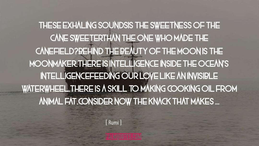 Dancing Moon quotes by Rumi