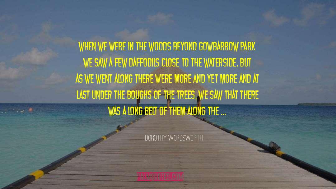 Dancing Trees quotes by Dorothy Wordsworth