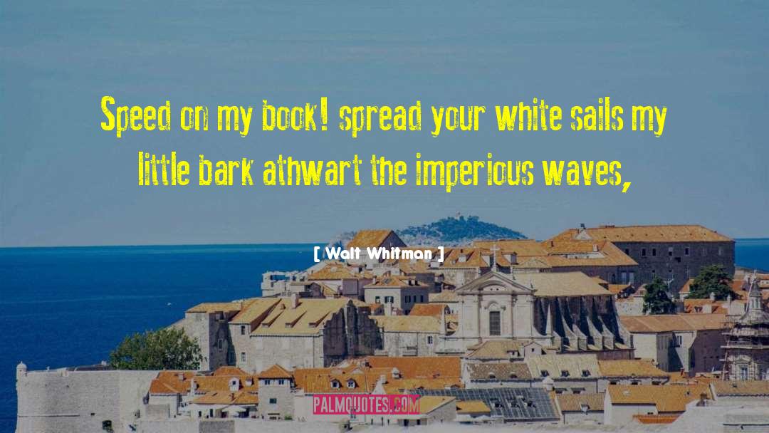 Dancing Waves quotes by Walt Whitman