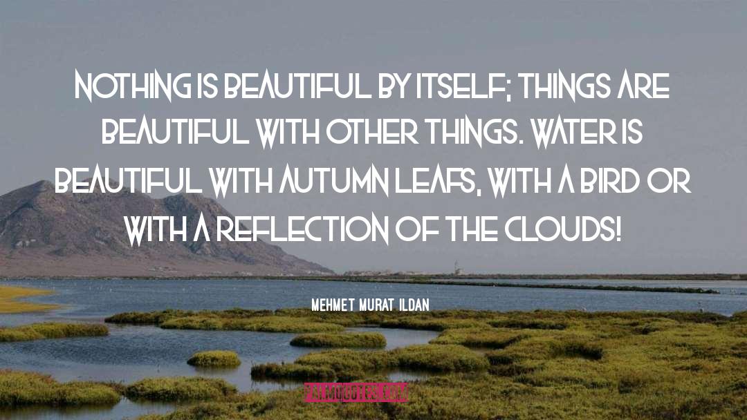 Dancing With Beauty quotes by Mehmet Murat Ildan