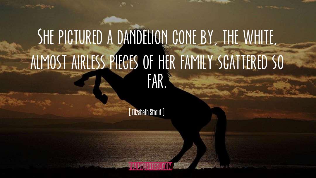 Dandelion quotes by Elizabeth Strout