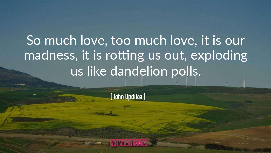 Dandelion quotes by John Updike