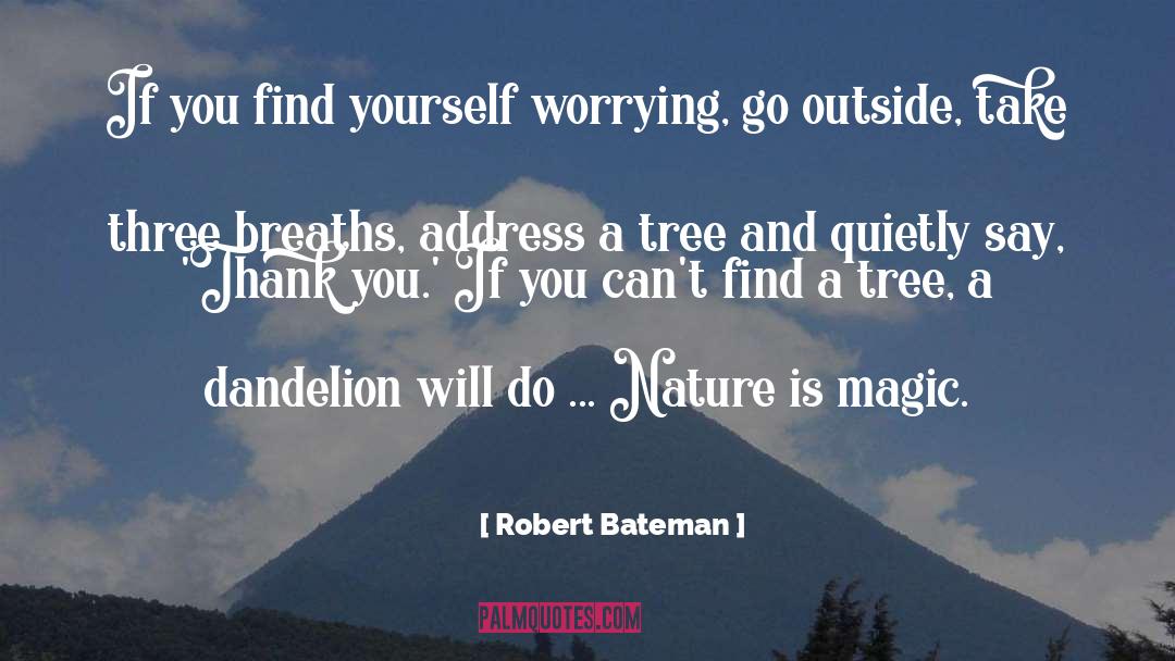 Dandelion quotes by Robert Bateman