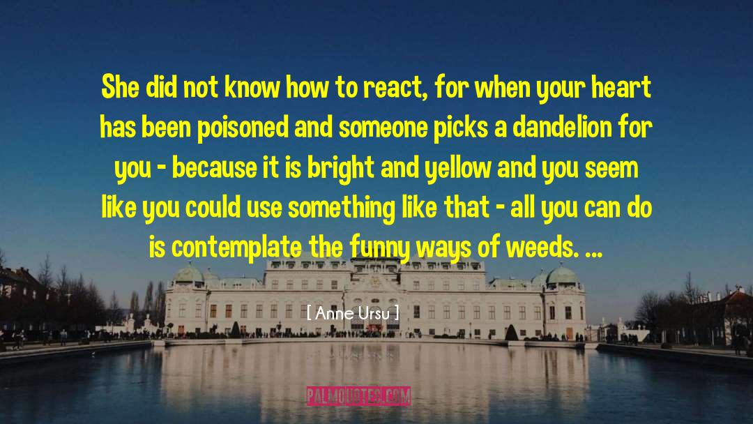 Dandelion quotes by Anne Ursu