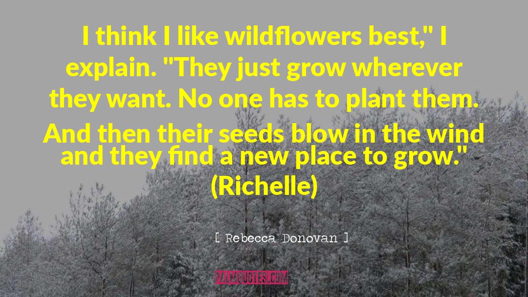 Dandelion Seeds quotes by Rebecca Donovan