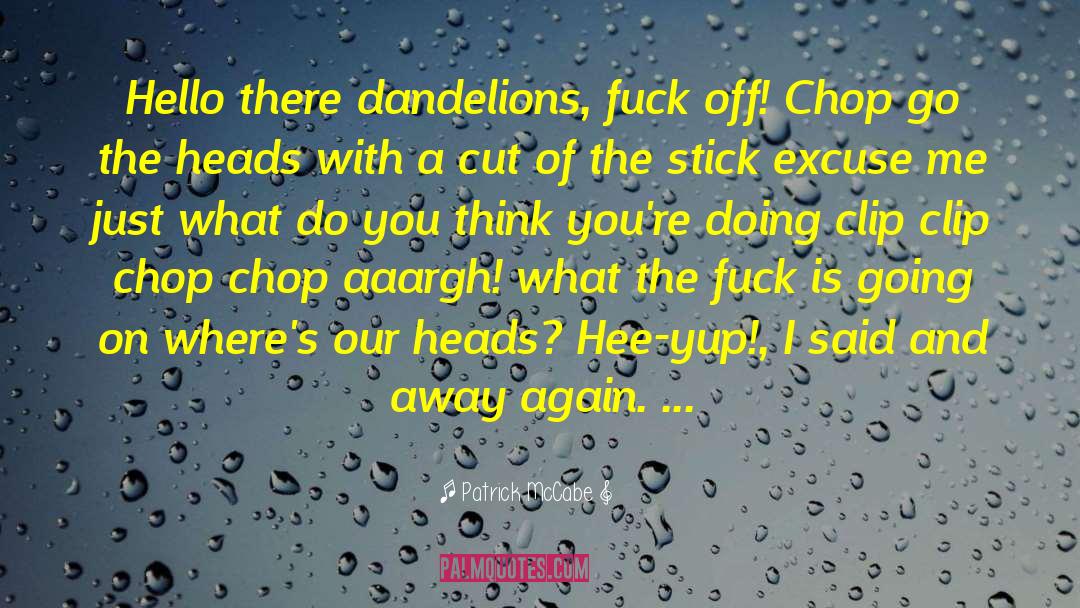 Dandelions quotes by Patrick McCabe