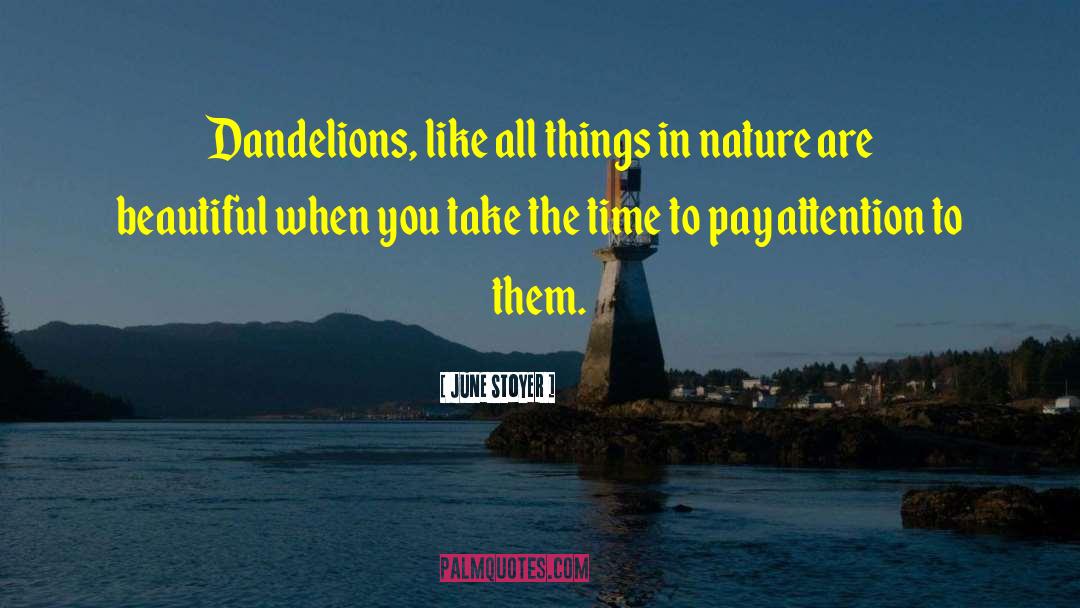 Dandelions quotes by June Stoyer