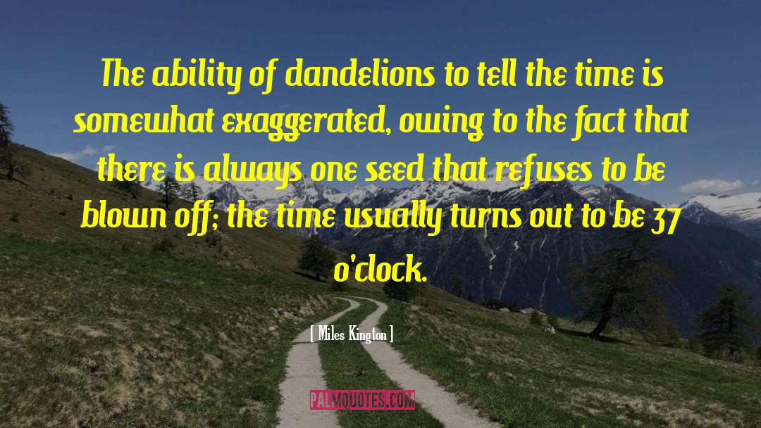 Dandelions quotes by Miles Kington