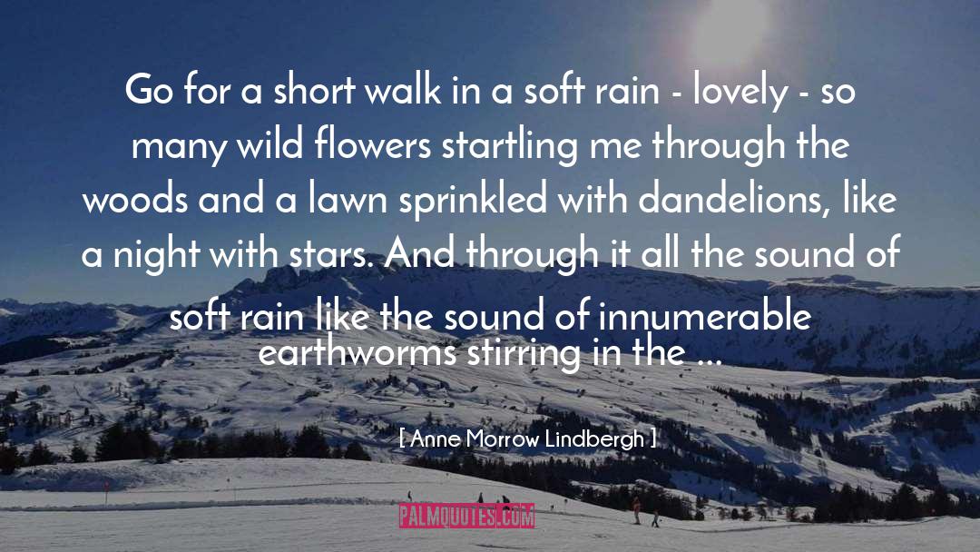 Dandelions quotes by Anne Morrow Lindbergh