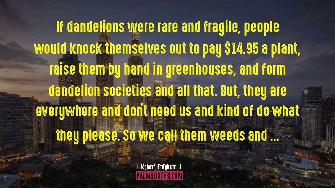 Dandelions quotes by Robert Fulghum