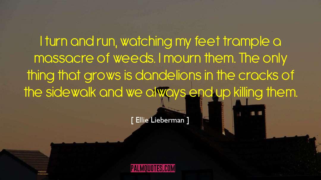 Dandelions quotes by Ellie Lieberman