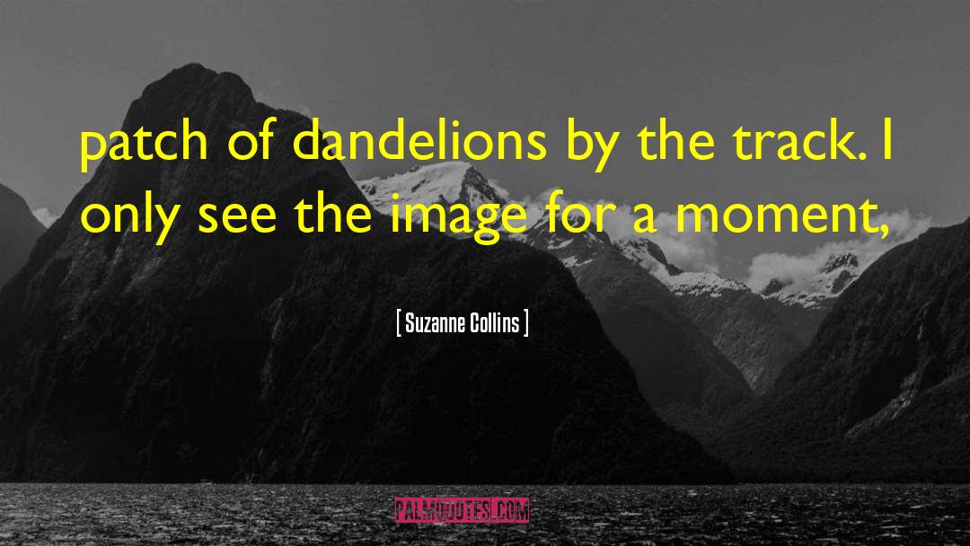 Dandelions quotes by Suzanne Collins
