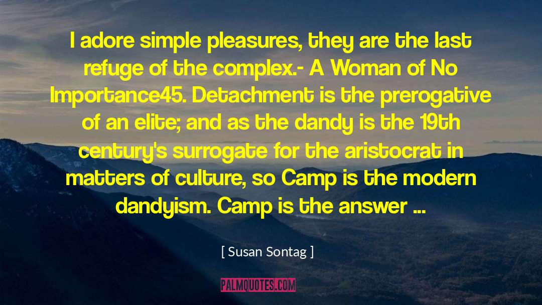 Dandyism quotes by Susan Sontag