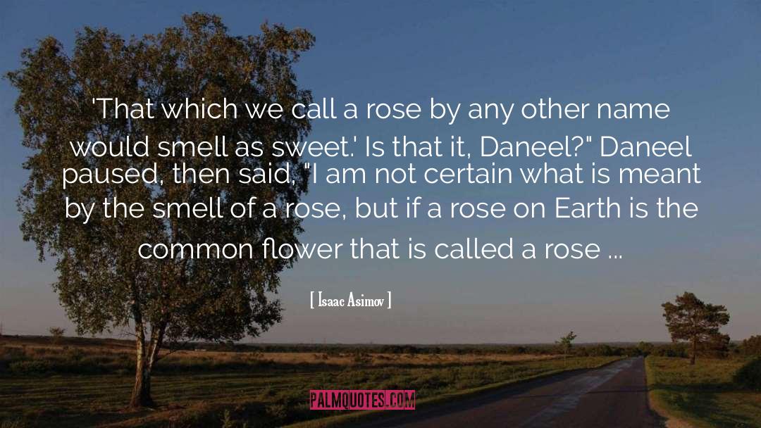 Daneel quotes by Isaac Asimov