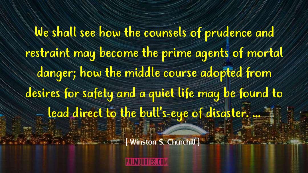 Danger Of Safety quotes by Winston S. Churchill