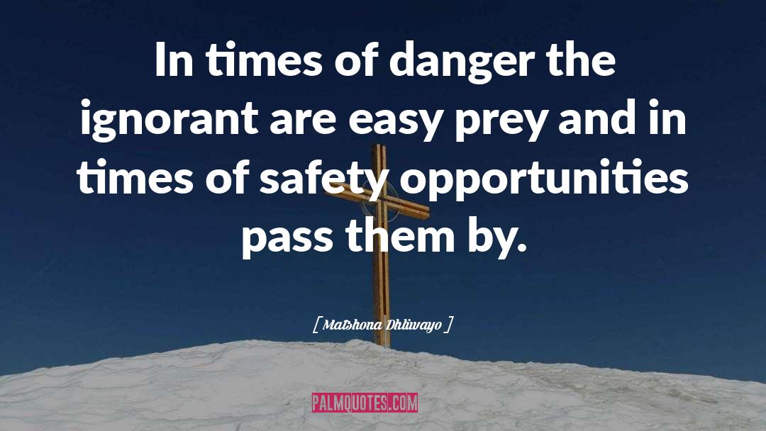 Danger Of Safety quotes by Matshona Dhliwayo