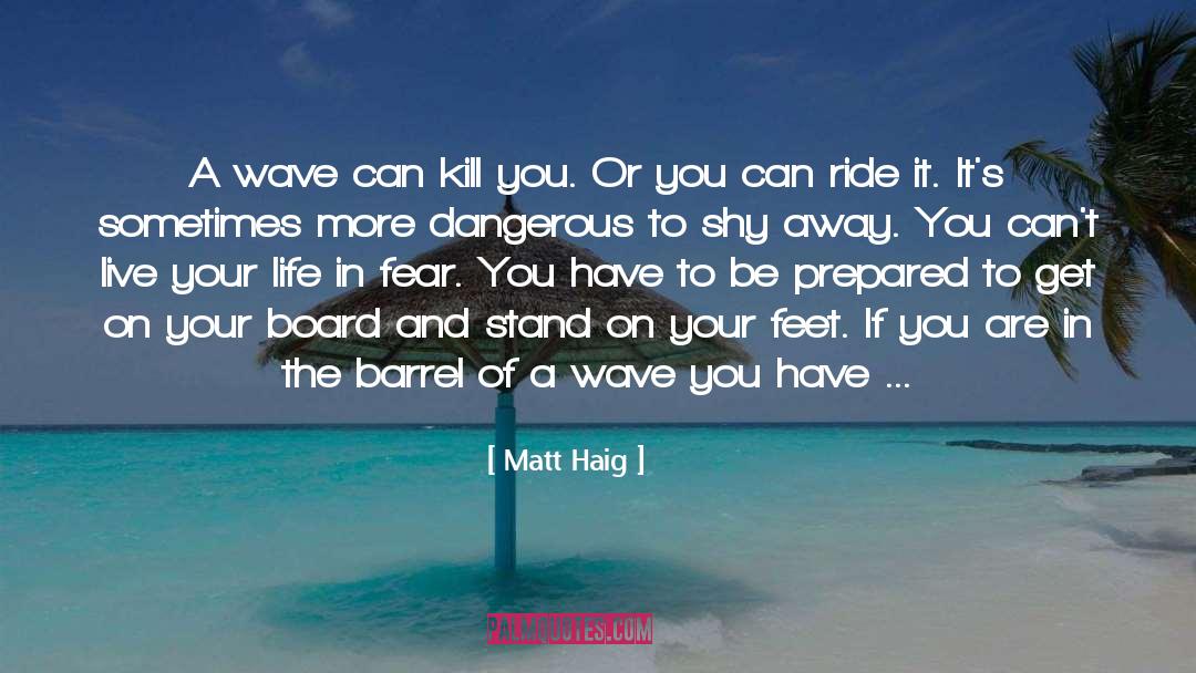Danger quotes by Matt Haig