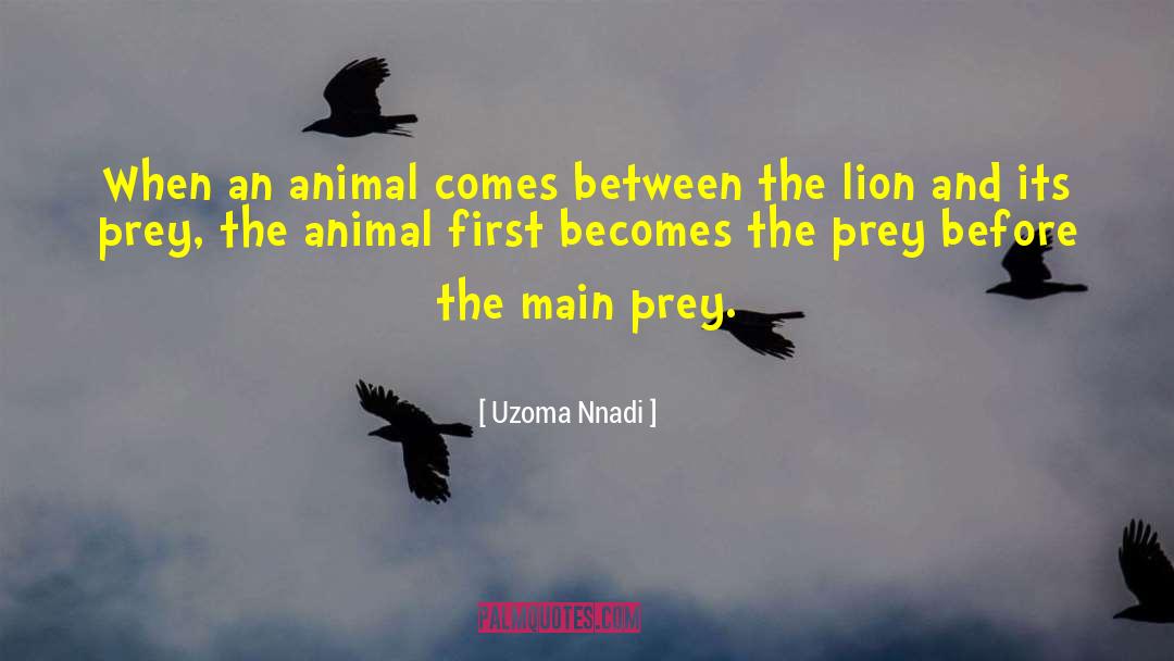 Dangerous Animals quotes by Uzoma Nnadi