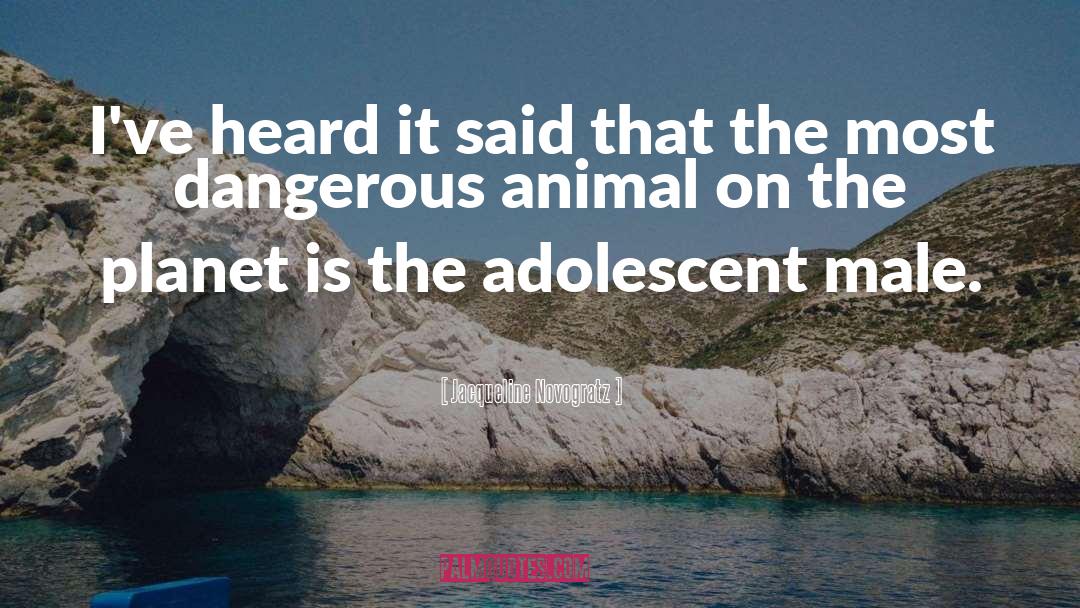 Dangerous Animals quotes by Jacqueline Novogratz