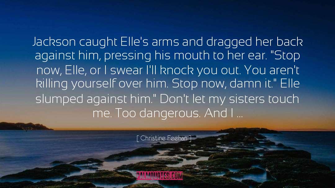Dangerous Beauty quotes by Christine Feehan
