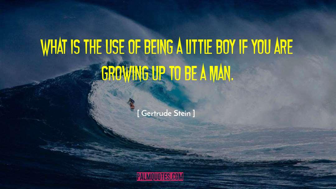 Dangerous Boys quotes by Gertrude Stein