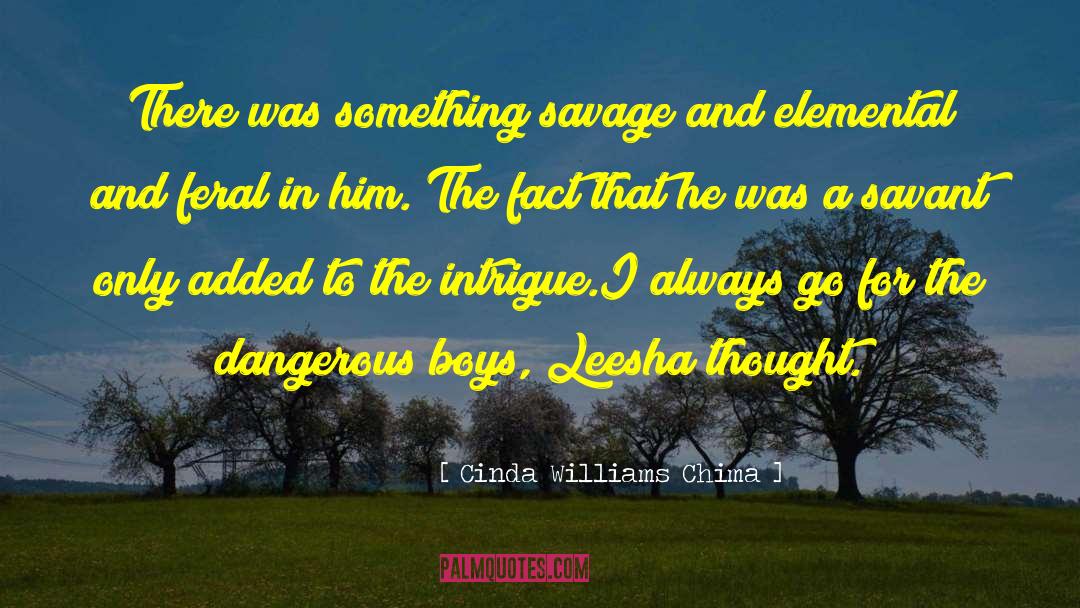 Dangerous Boys quotes by Cinda Williams Chima